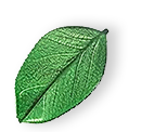https://chistybrat.by/wp-content/uploads/2025/07/floating_leaf_01.png